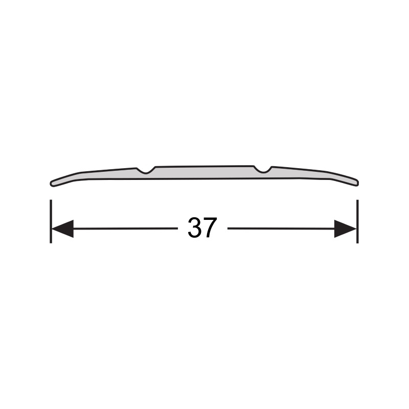 Dilatatieprofiel 37 mm 1m Aluminium Zilver Geborsteld 41408