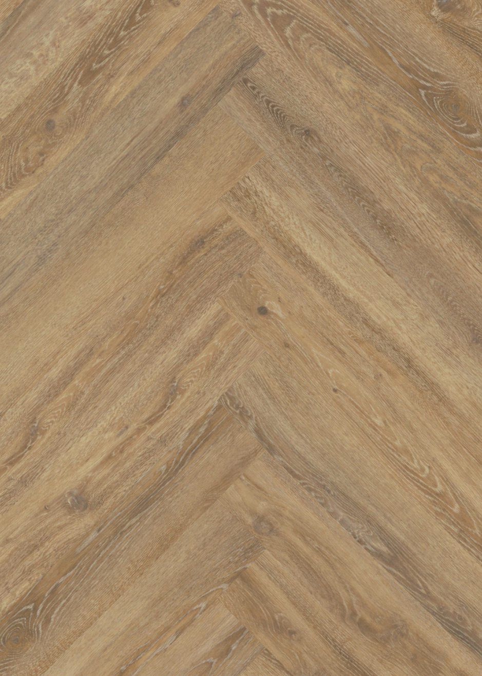 mFLOR Parva Oak 41215 Apulia