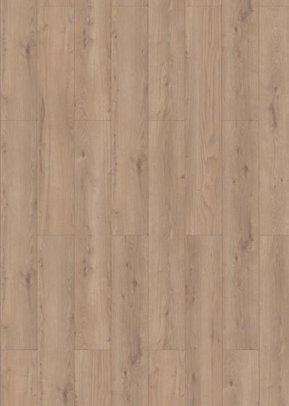 Classen Oak Light Brown 52341